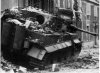 Wittman's Tiger